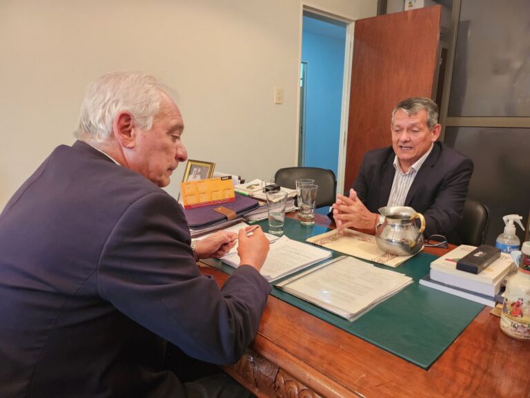 Maximiliano Benítez y Daniel Richar.