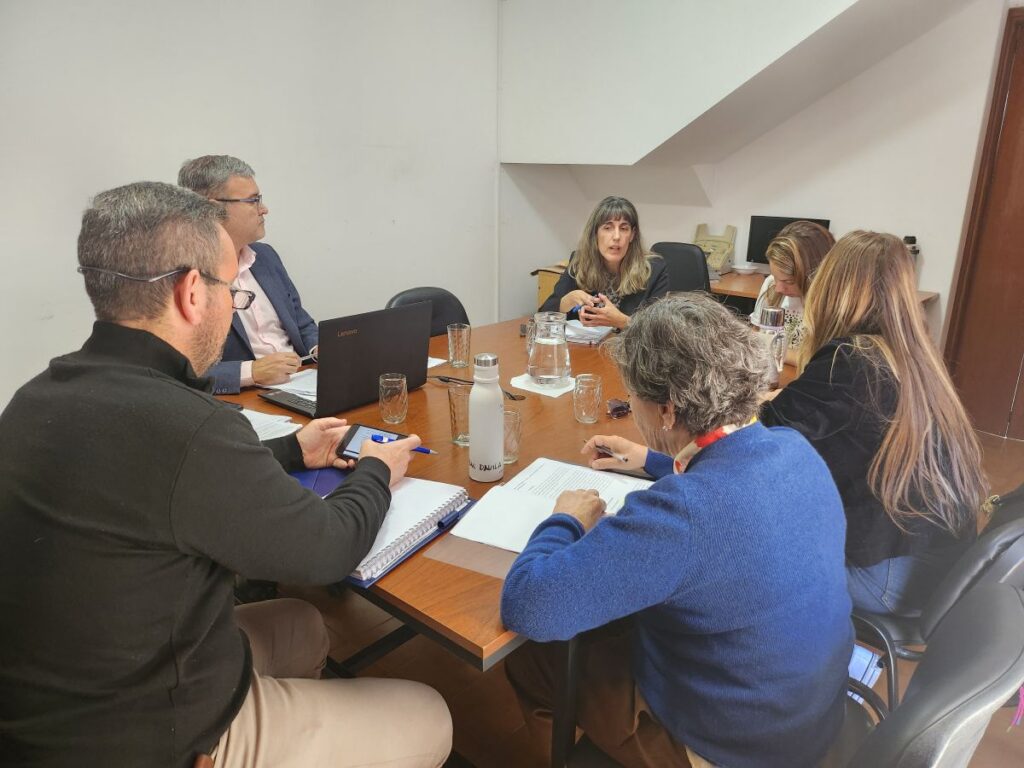 Imagen de la reunión del plenario del Órgano de Revisión de Salud Mental.