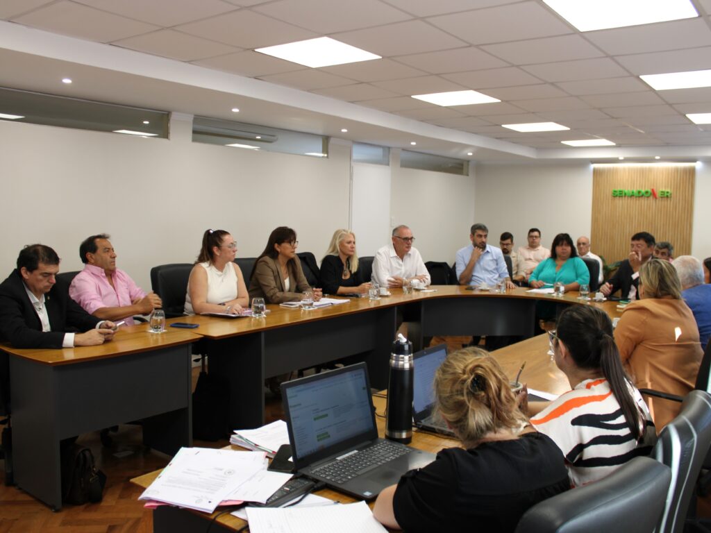 Foto panorámica general de la reunión de comisión.