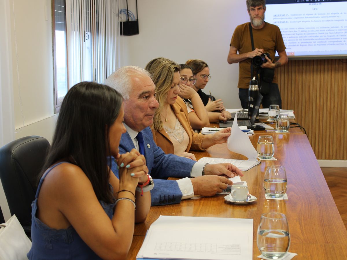 María Spais y Maximiliano Benítez en la ruenión de comisión del Senado.